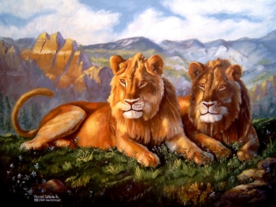 lions???